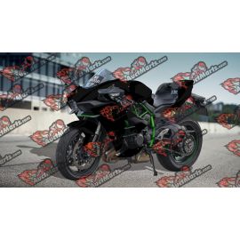 Kawasaki Ninja H2 2015+ Fairing P/N (5)